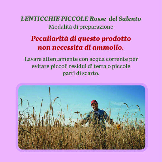 Lenticchie Piccole Rosse del Salento 400gr - Saracino 1925