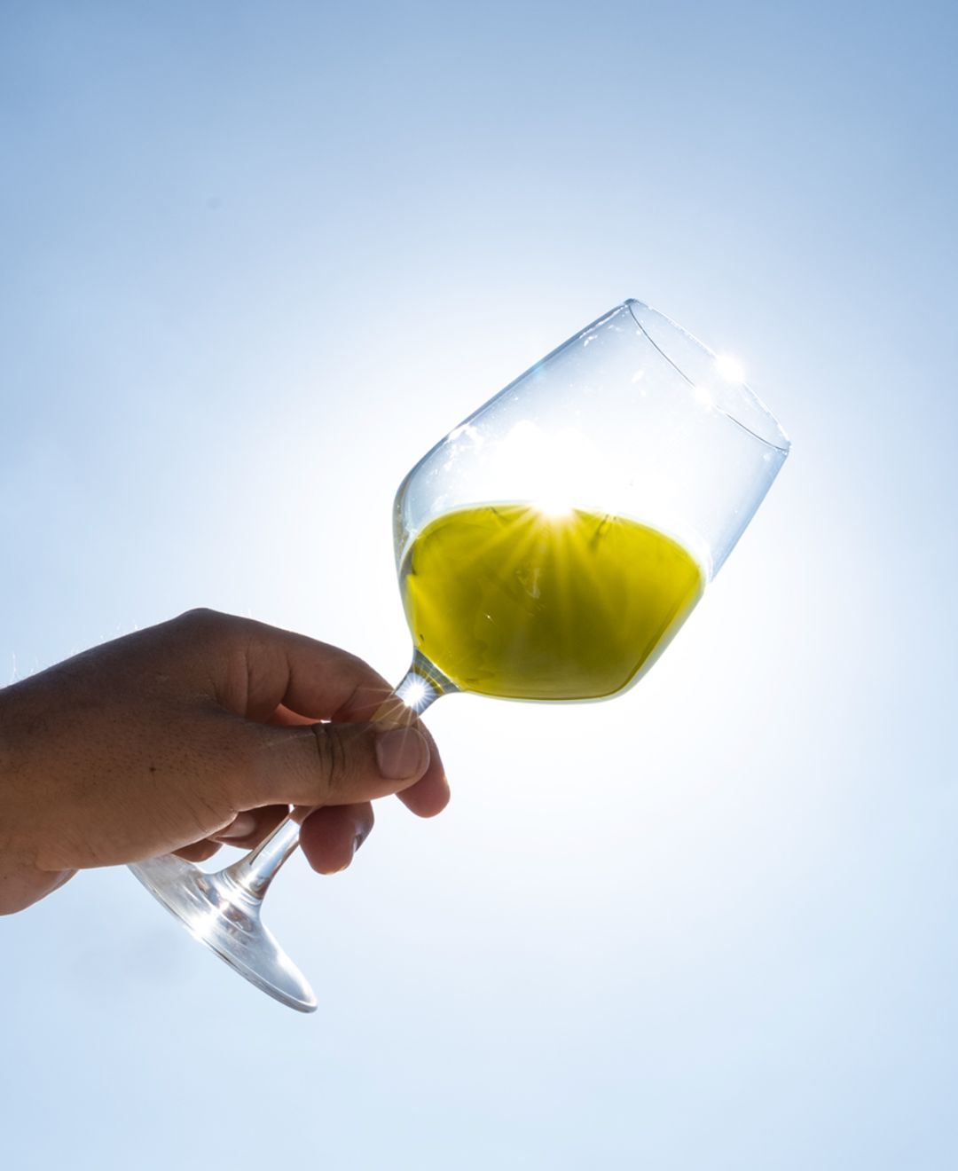 Olio Extravergine di oliva Salentino estatto a freddo – SARACINO1925